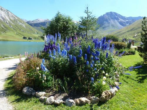 Hostal Chalet Le Cordava