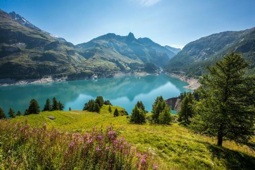 Chalet Opale