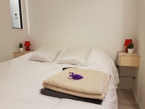Apartamento T3 Hyper-centre Appartement Centre Toulouse