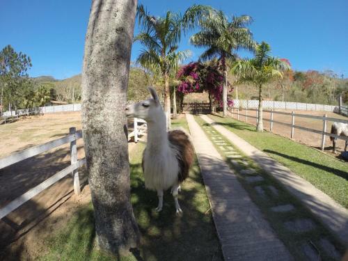 Hostal Haras Radachi