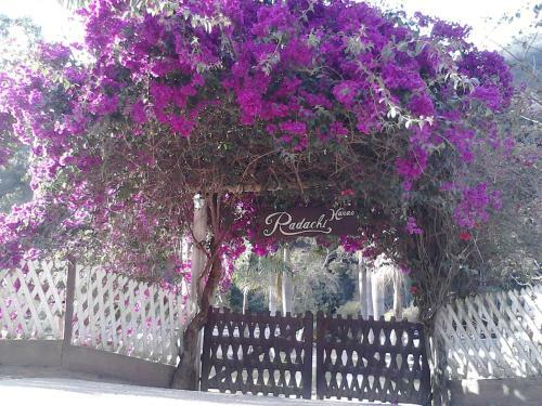 Hostal Haras Radachi
