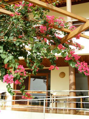 Hostal Pousada Bem-te-vi Tabatinga