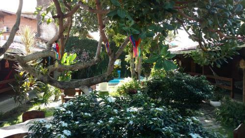 Hostal Pousada Sempre Graciosa