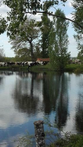 Agroturismo Charmante Maison � La Ferme