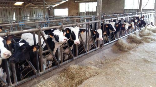 Agroturismo Charmante Maison � La Ferme