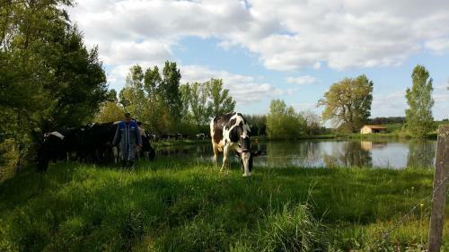 Agroturismo Charmante Maison � La Ferme