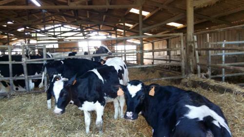 Agroturismo Charmante Maison � La Ferme