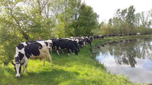Agroturismo Charmante Maison � La Ferme