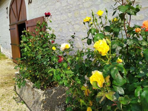 Hostal La Belle Etoile