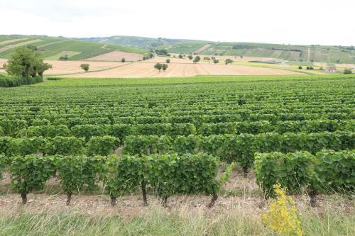 Apartamento Entre Bourges Et Sancerre, Vacances Relaxantes