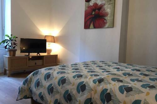 Apartamento Le Bureau de Berthelot Au Centre de Valence
