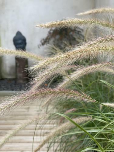 Bed & Breakfast Maison D'hotes L'atelier Du Charmois