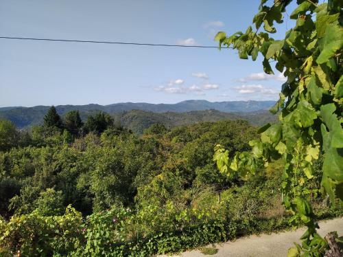 Les Fig�res - Les Gites de Pierregras