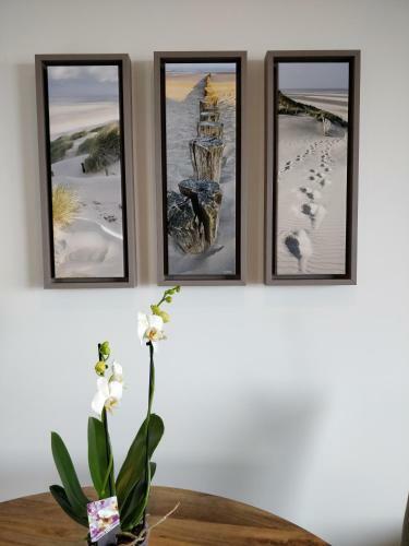 Hostal Les G�tes Du Cap Cod