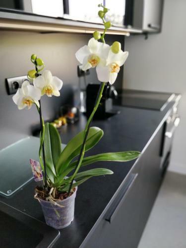 Hostal Les G�tes Du Cap Cod