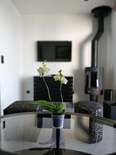 Hostal Les G�tes Du Cap Cod