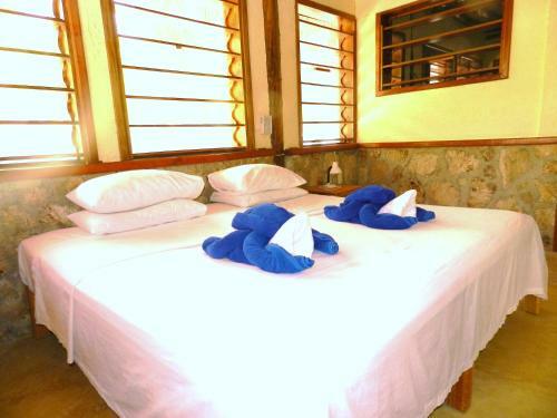 Aparthotel Guesthouse Holbox Apartments & Suites