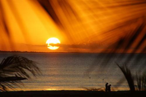 Aparthotel Guesthouse Holbox Apartments & Suites