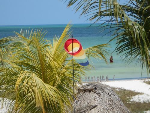 Aparthotel Guesthouse Holbox Apartments & Suites