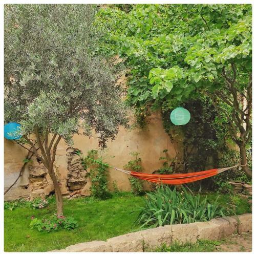 Bed & Breakfast La Vigneronne Des Costi�res
