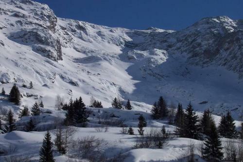 Rustic & A Chalet 'le Sert Du Grey - Vaujany