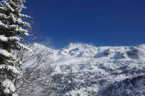 Rustic & A Chalet 'le Sert Du Grey - Vaujany