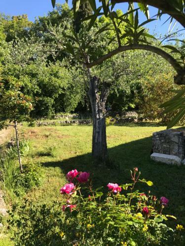 Villa Du Sud