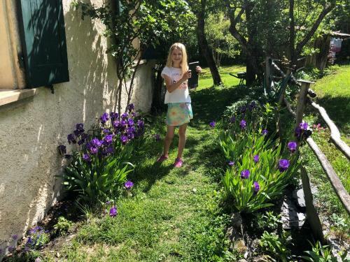 Les Iris De La Muzelle