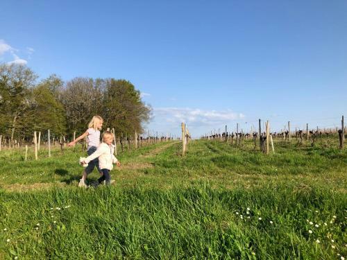 Le Clos De La Chataign�re