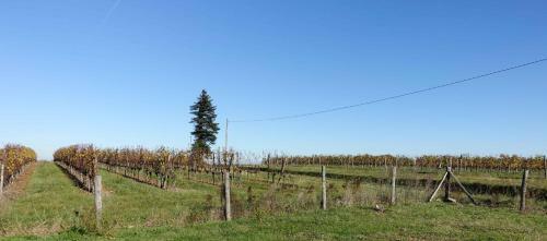 Le Clos De La Chataign�re