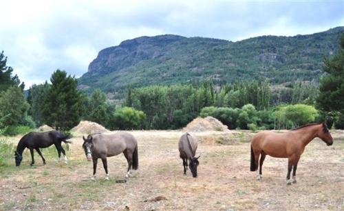 Lodge Caba�as Y Hosteria Aldea Los Huemules