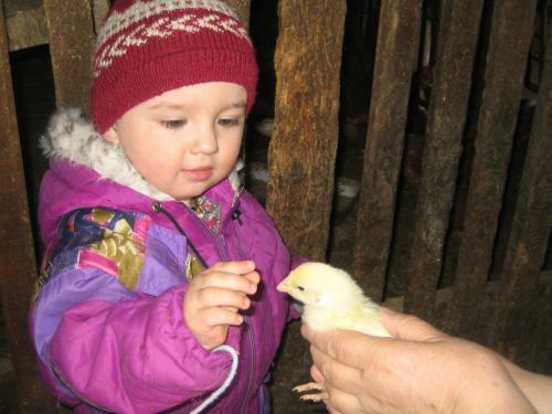 Agroturismo Urlaub Am Heubauernhof K�ck