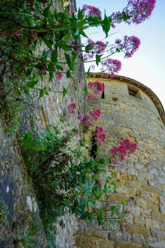 G�te Histoire De Miel