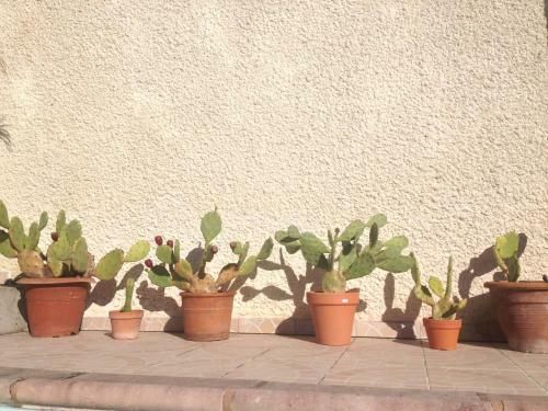 Villa Vianne B&B