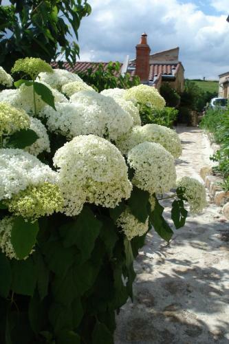 Le Logis D'hortense