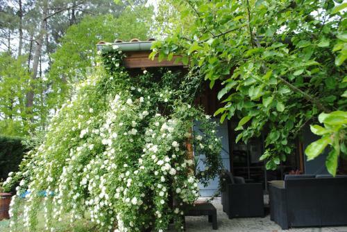 Hostal Le Cottage