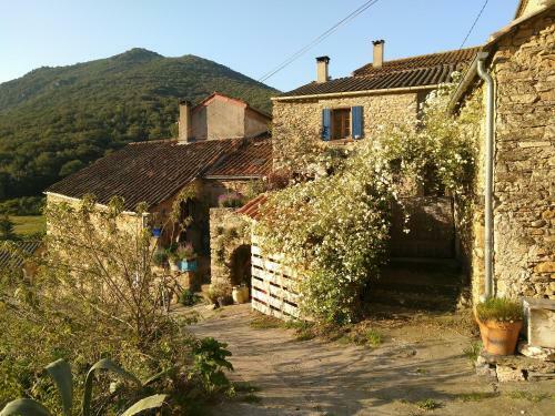 Maison Et Rivi�re