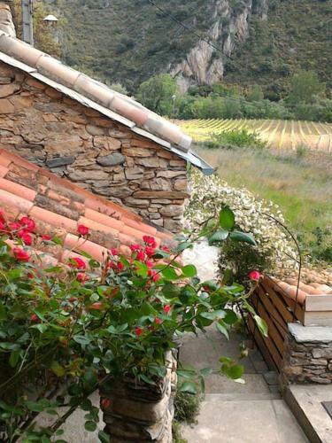 Maison Et Rivi�re