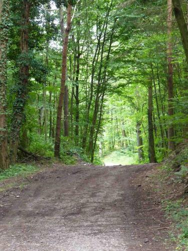 Les Cerisiers
