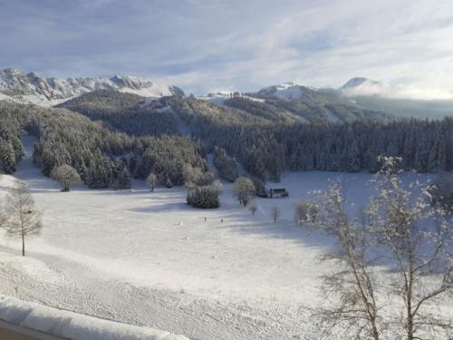 Apartamento Studio Sur Les Piste