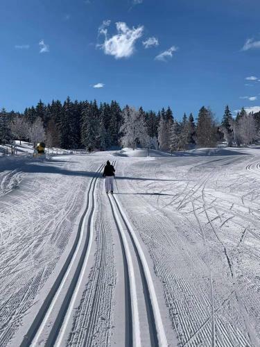 Apartamento Studio Sur Les Piste