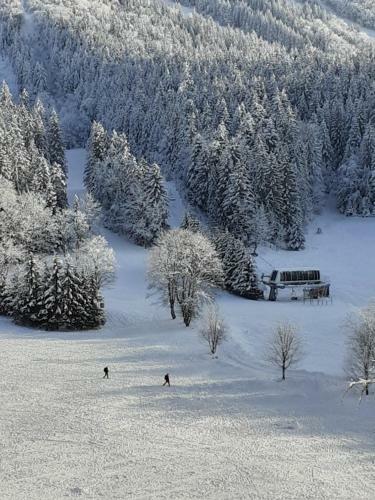 Apartamento Studio Sur Les Piste