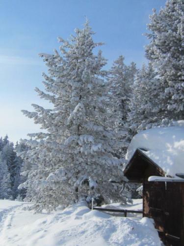 Hostal Wirtshaus Zum Wiesejaggl