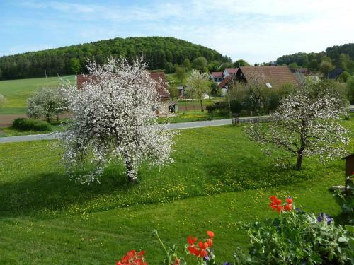 Apartamento Bernerhof