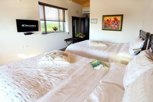 Seven Generations Winery Hotel