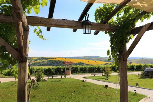Seven Generations Winery Hotel