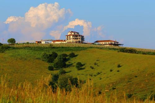 Seven Generations Winery Hotel