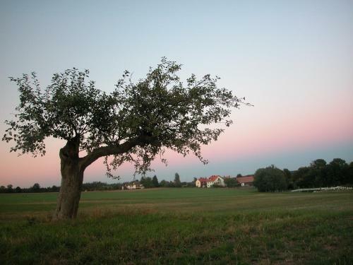 Hostal Hasselberger Hof