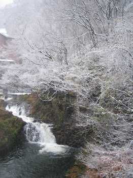 Harataki