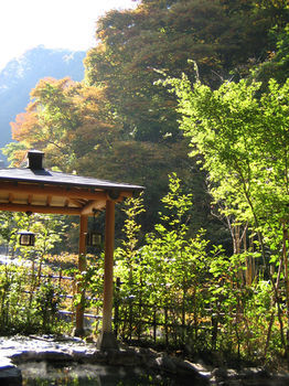 Harataki